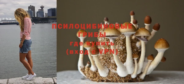 прущая мука Богородск