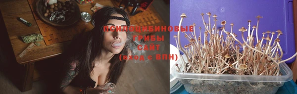 ALPHA PVP Богородицк