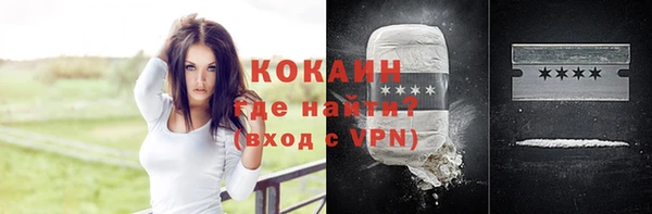 дживик Богданович