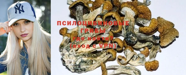 ALPHA PVP Богородицк