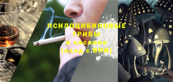 дживик Богданович